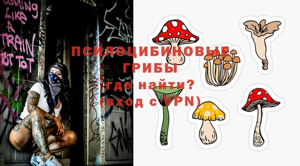 синтетический гашиш Няндома