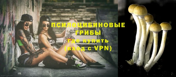 винт Нягань