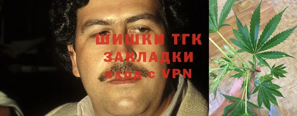 винт Нягань