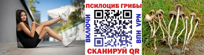 где купить наркотик  Салехард  Псилоцибиновые грибы ЛСД 